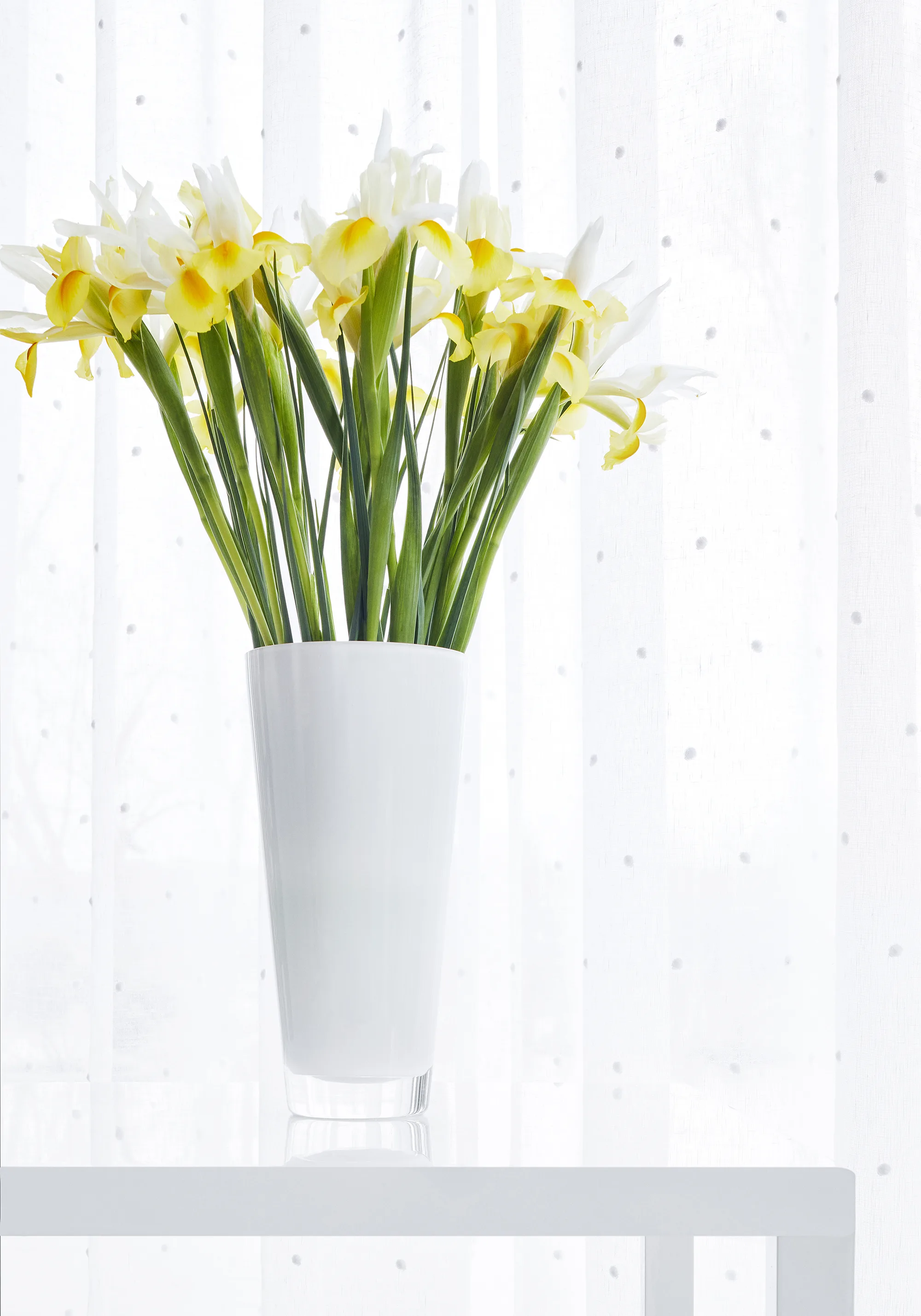 Thibaut Dixie Embroidery in Snow White (FWW7169)