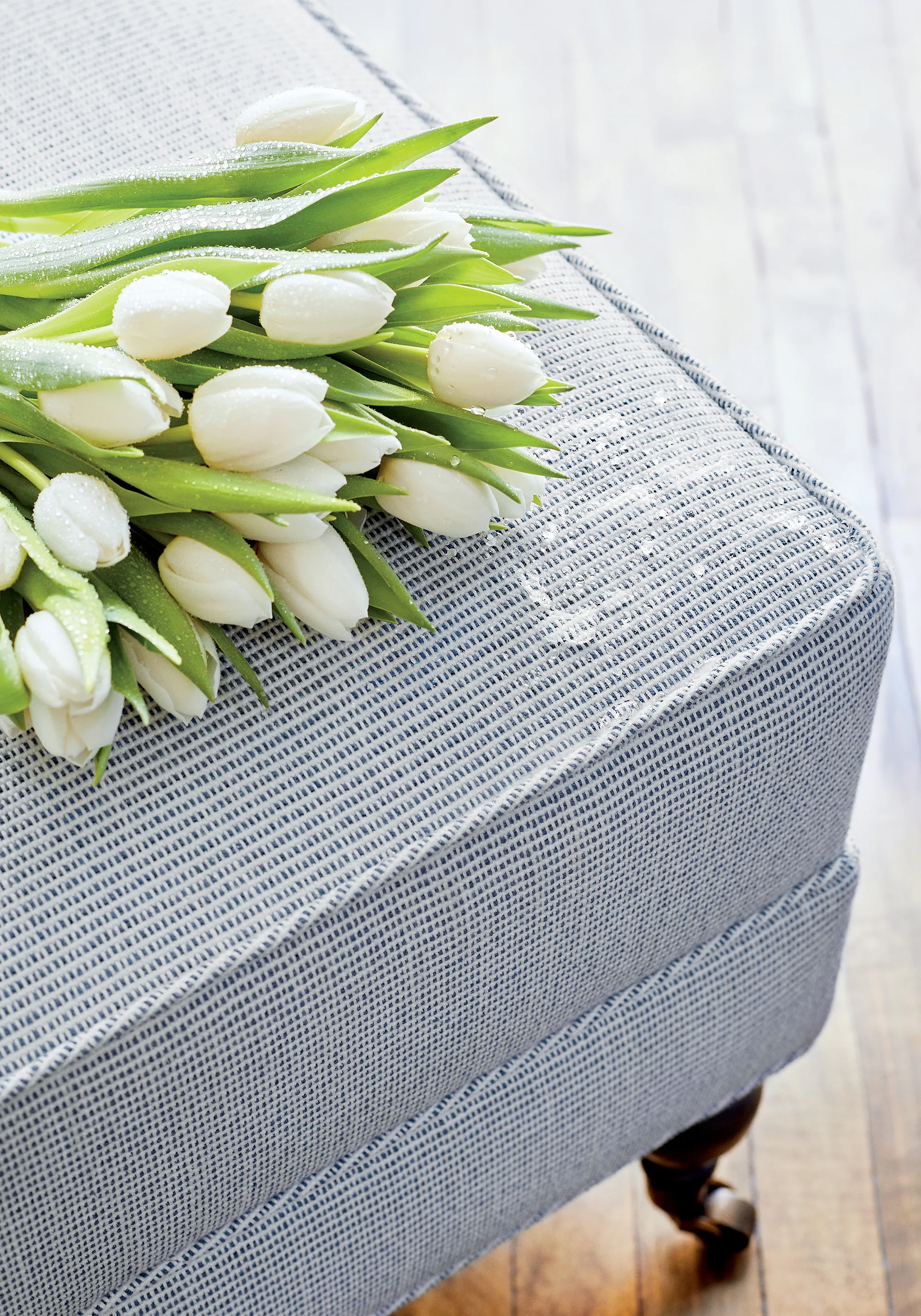Thibaut Dune in Denim (W75221)
