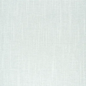 Thibaut Dune in Platinum (W75217)