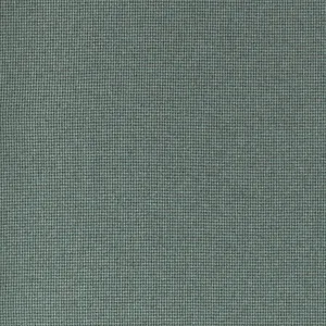 Thibaut Edmund in Loden (W711320)
