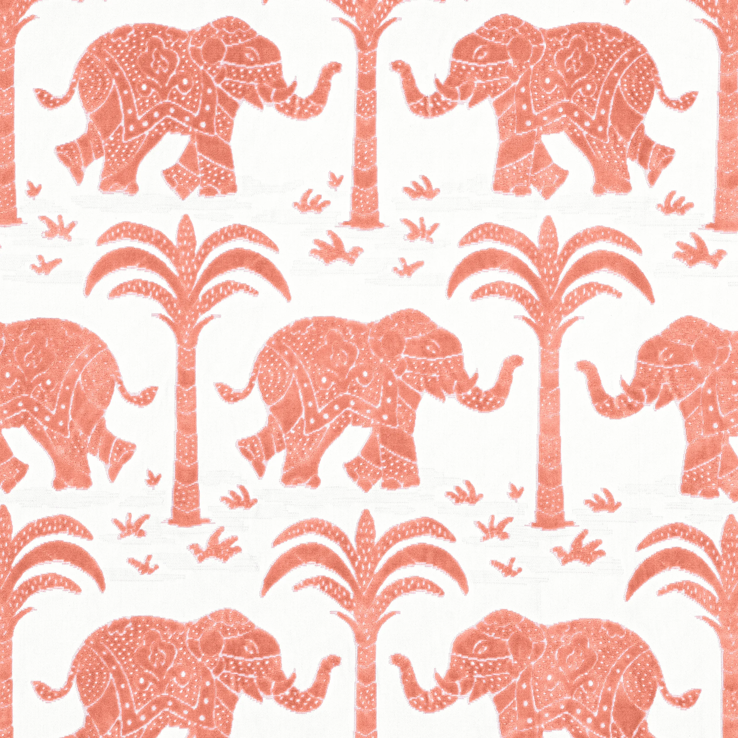 W716203 | Elephant Velvet – Coral