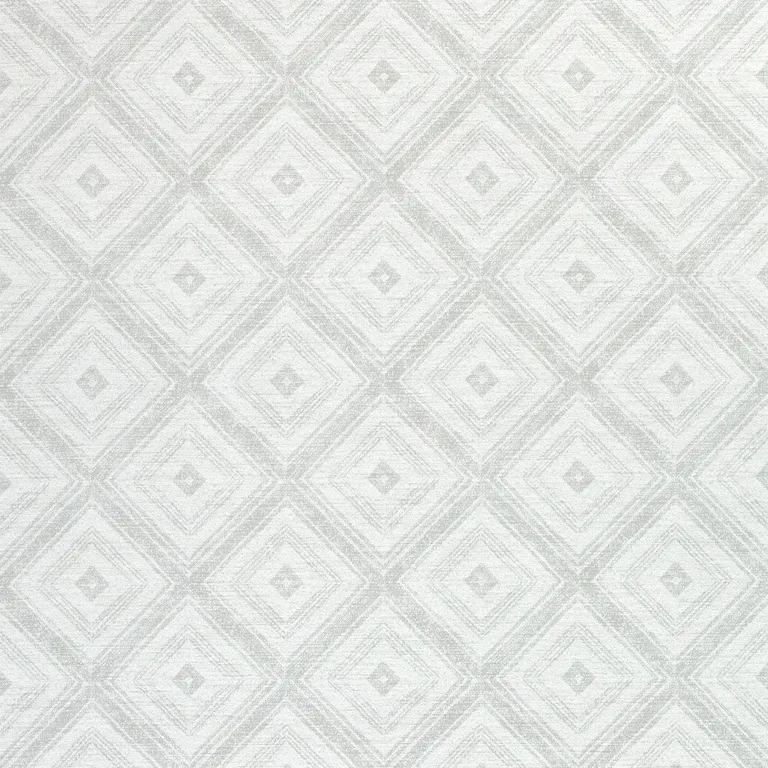 Thibaut Ellison in Fog (W789126)