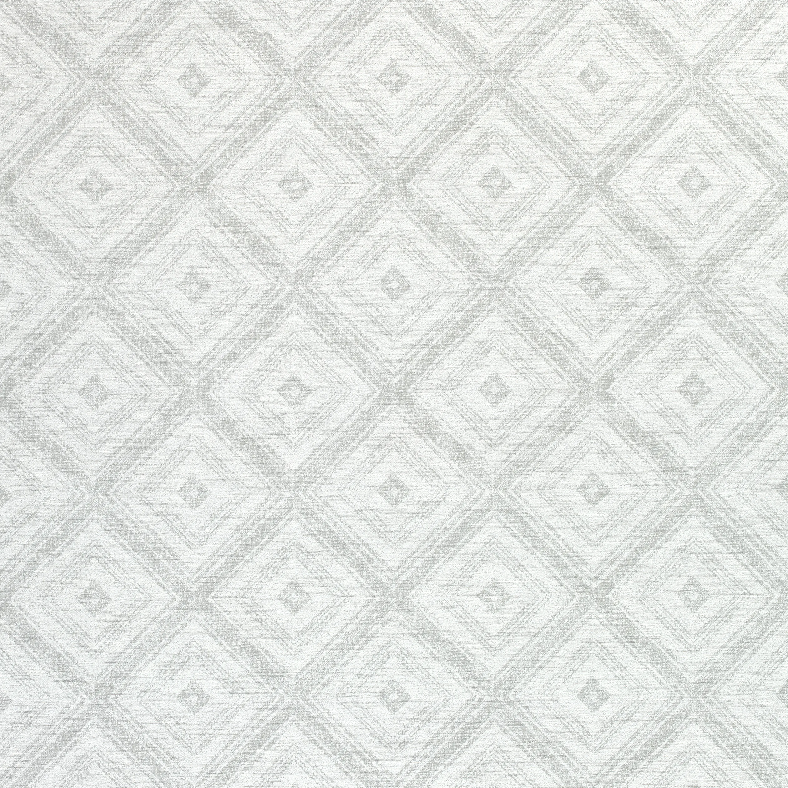 Thibaut Ellison in Fog (W789126)