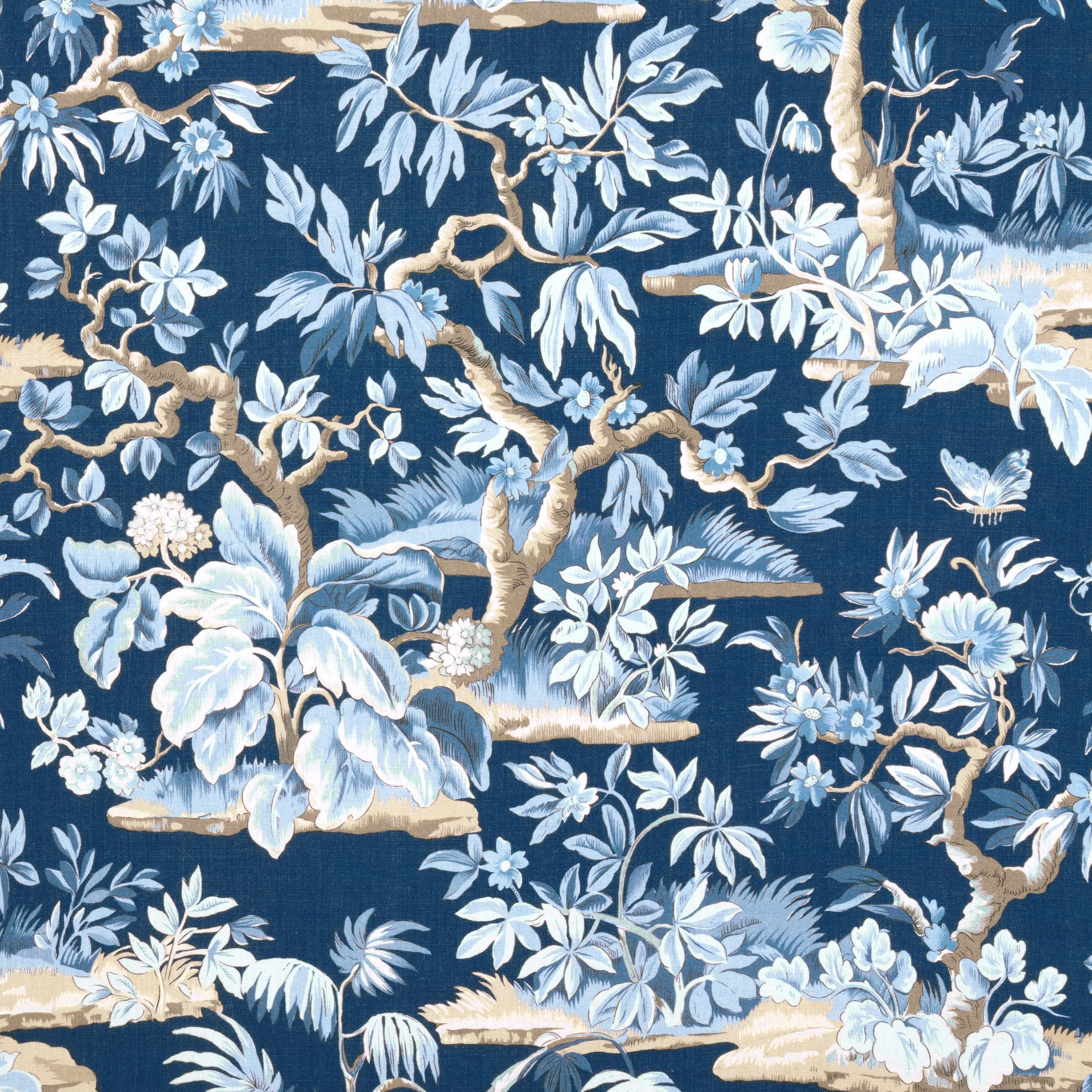 AF24563 | Elwood – Navy