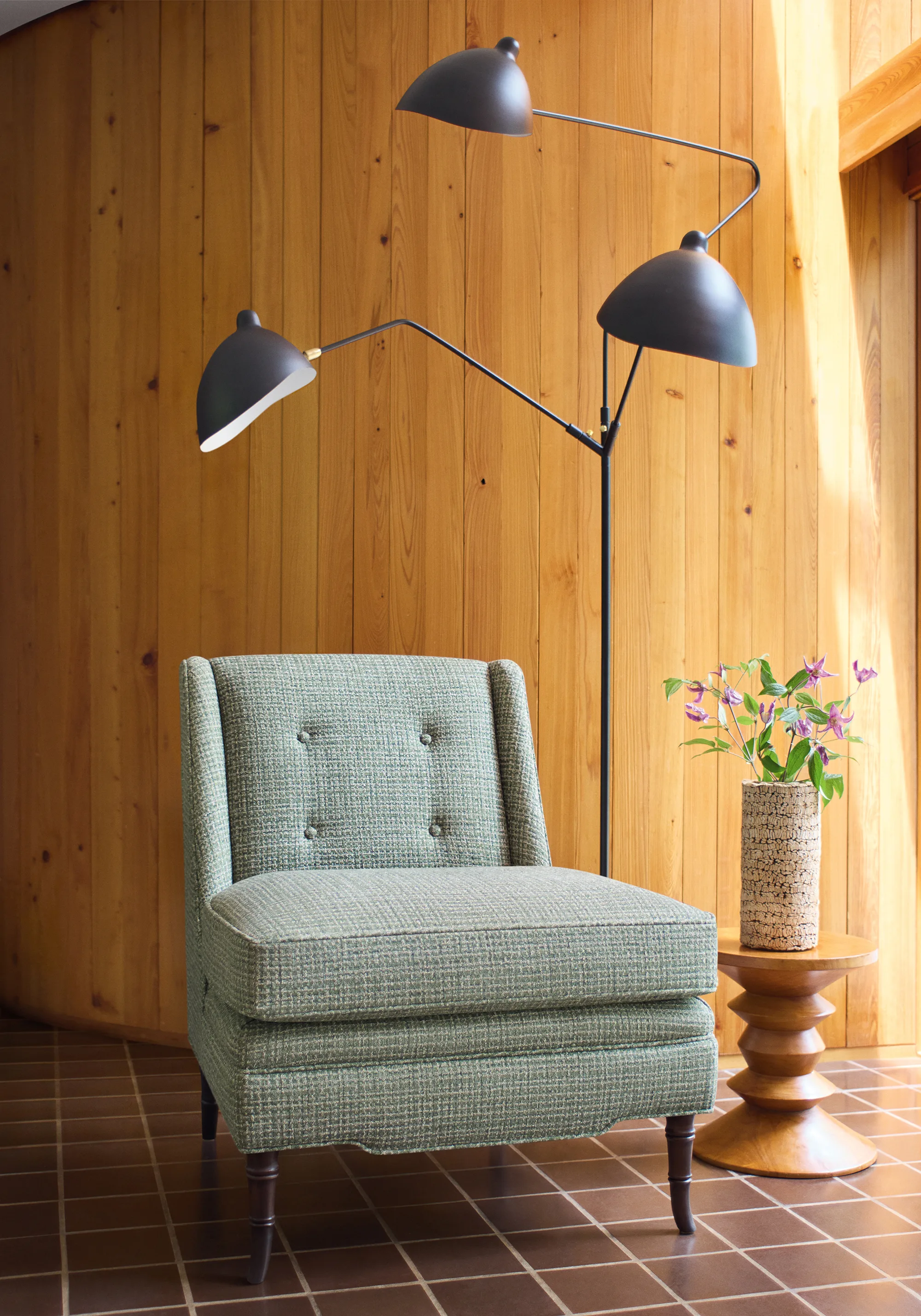 Thibaut Emilio in Juniper (W80955)