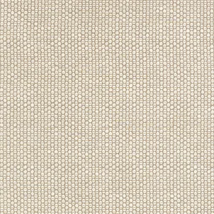 Thibaut Endicott in Linen (W711305)