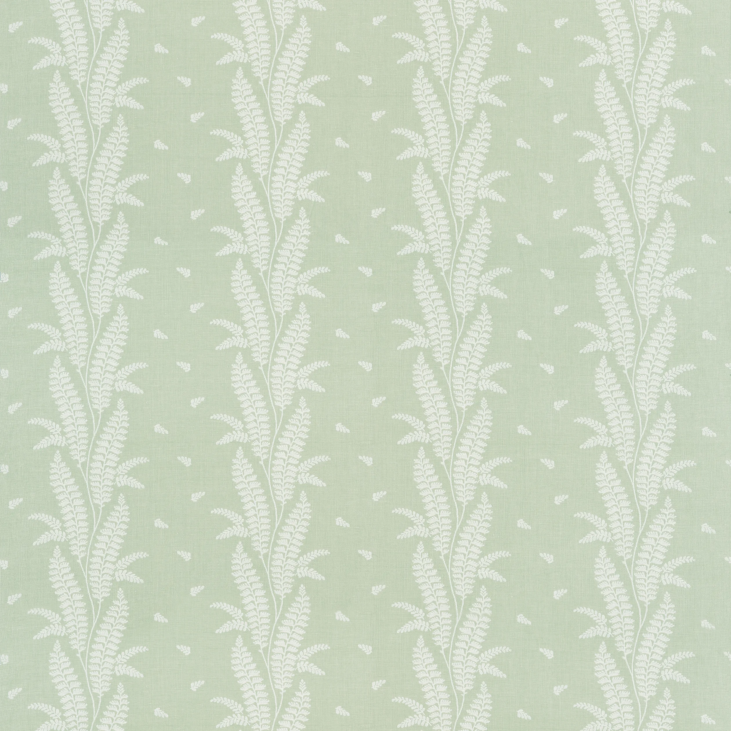 AW57826 | Ensbury Fern – Green