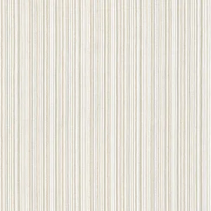 Thibaut Ernie Stripe in Oatmeal (W81940)