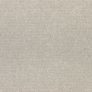 Thibaut Everly in Stone (W74057)