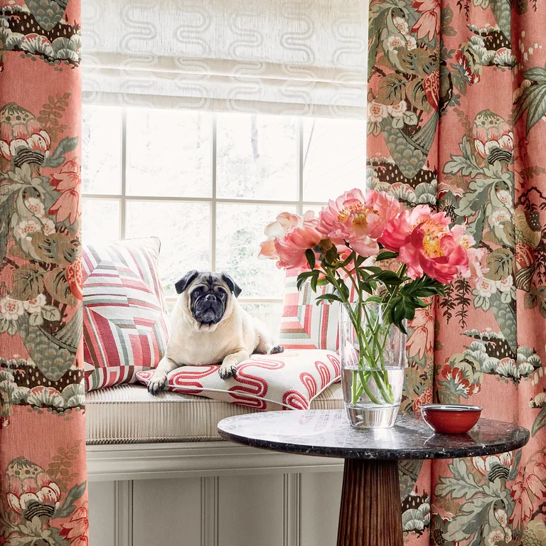 Anna French Fairbanks in Salmon (AF9645)