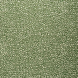 Thibaut Fawn in Forest (W78355)