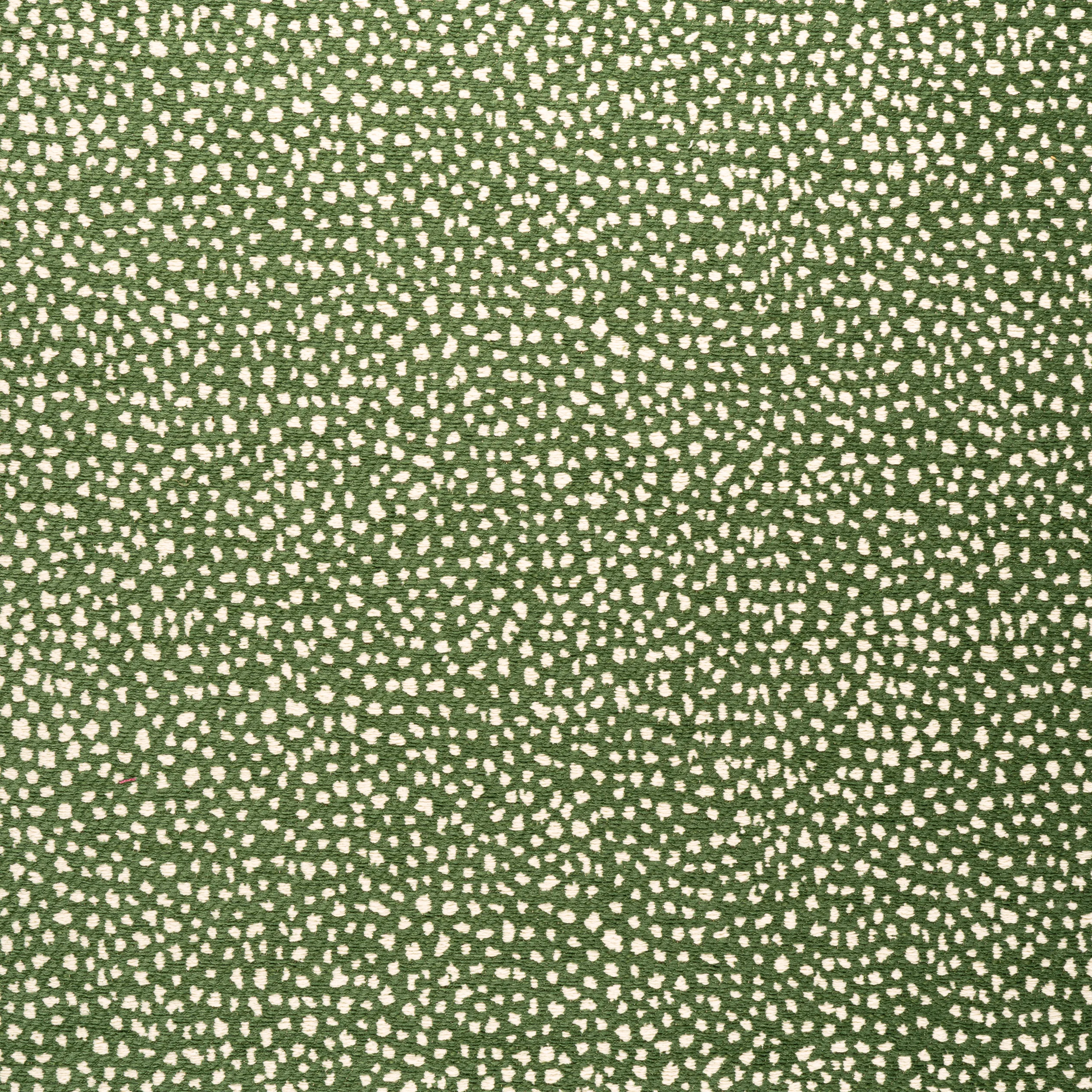 Thibaut Fawn in Forest (W78355)