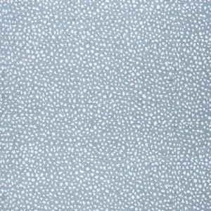 Thibaut Fawn in Sky (W78353)