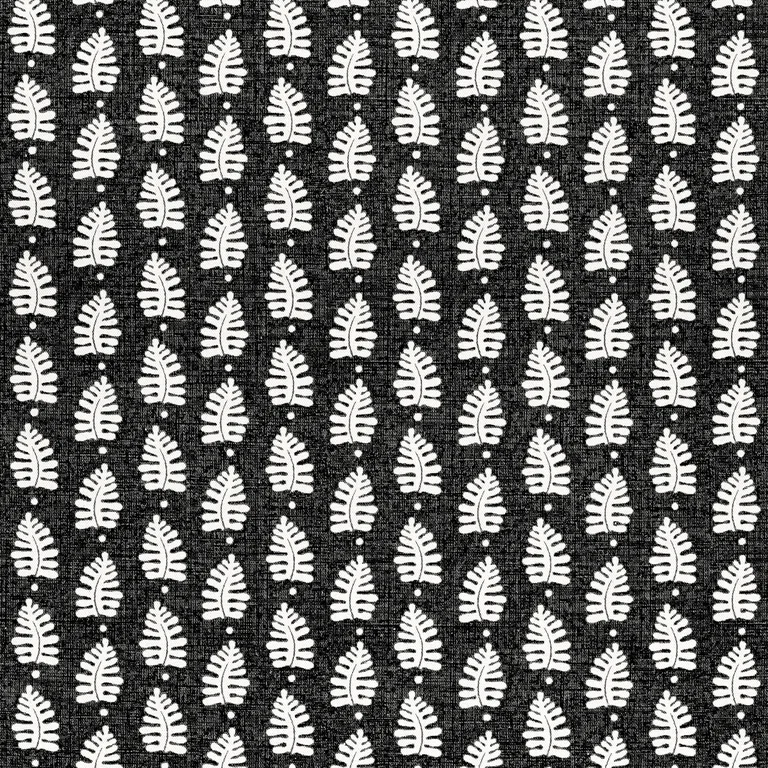 Thibaut Ferndale in Black (F910657)