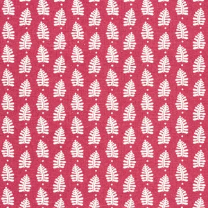 Thibaut Ferndale in Pink (F910655)
