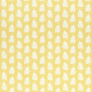 Thibaut Ferndale in Yellow (F910654)