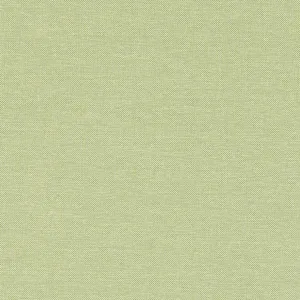 Thibaut Finn in Kiwi (W81759)