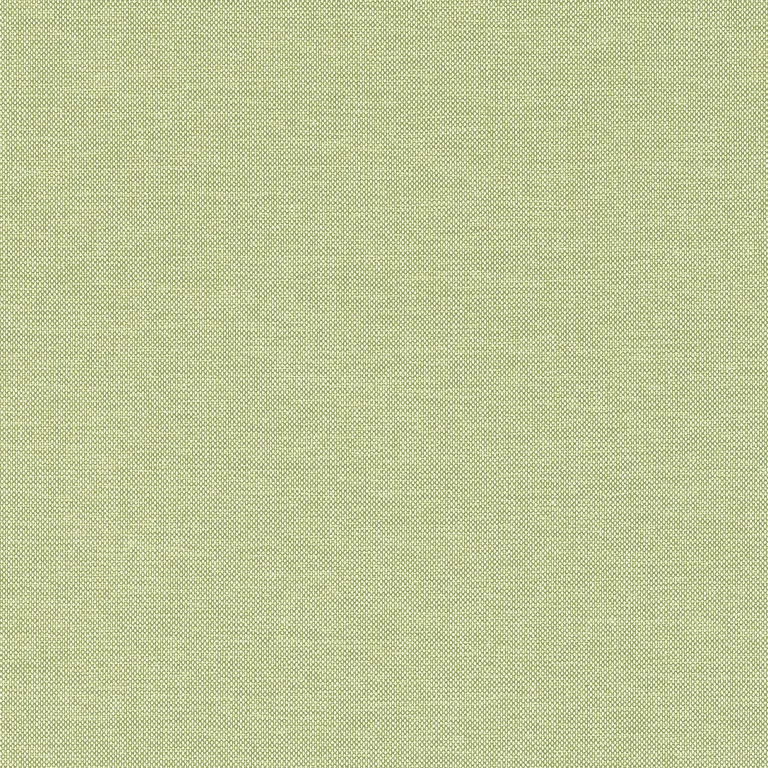 Thibaut Finn in Kiwi (W81759)