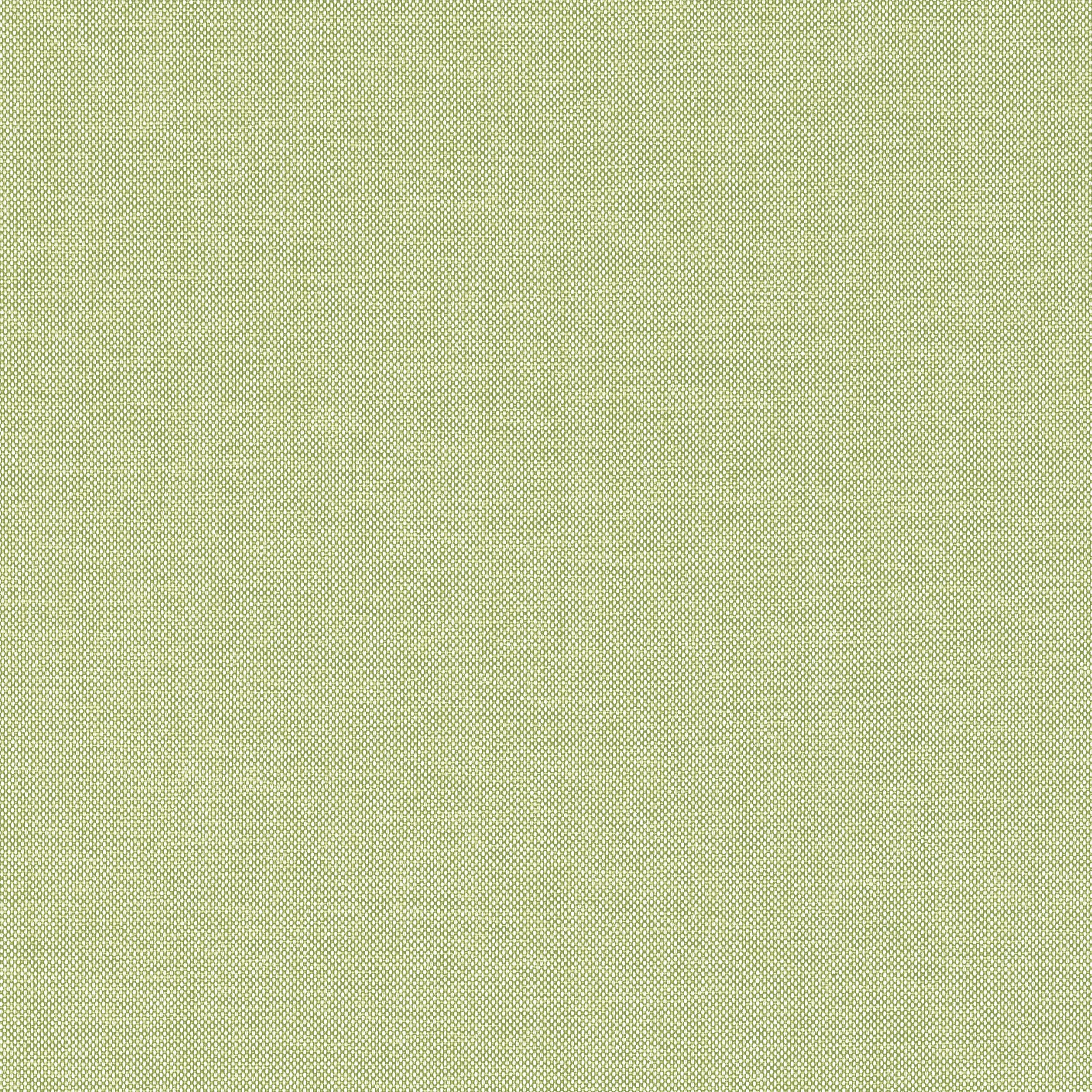 Thibaut Finn in Kiwi (W81759)