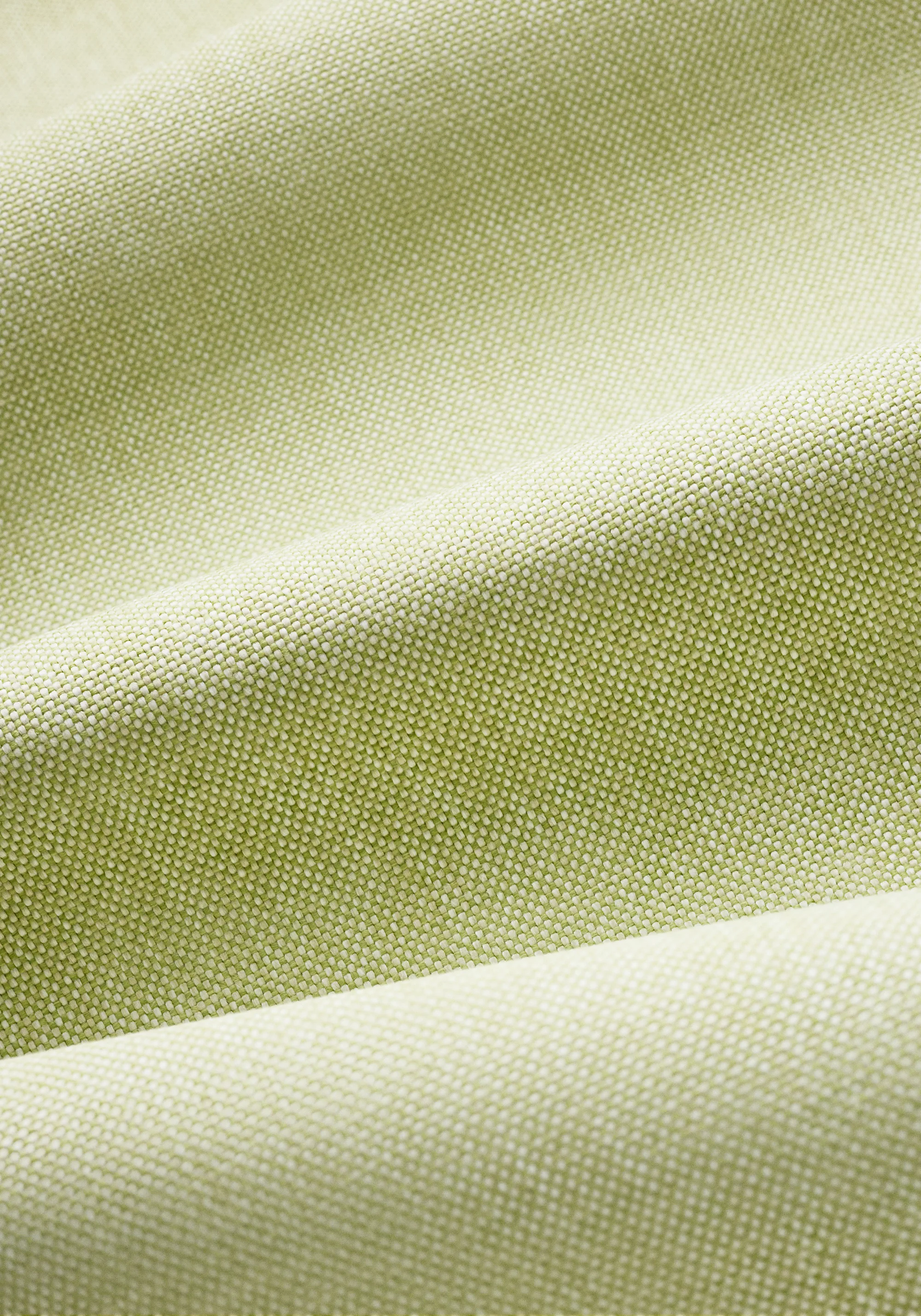 Thibaut Finn in Kiwi (W81759)