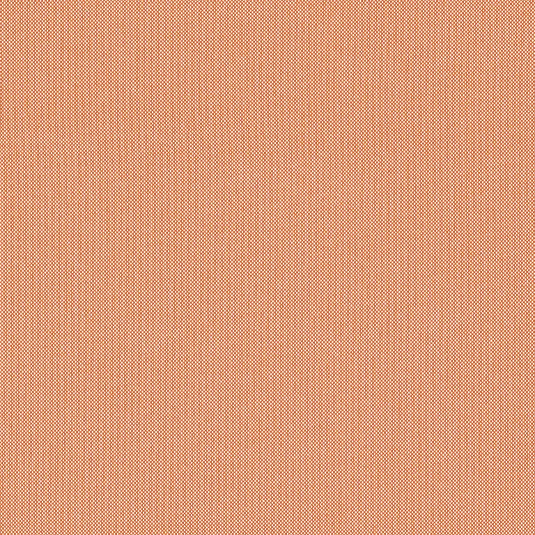 Thibaut Finn in Mandarin (W81758)