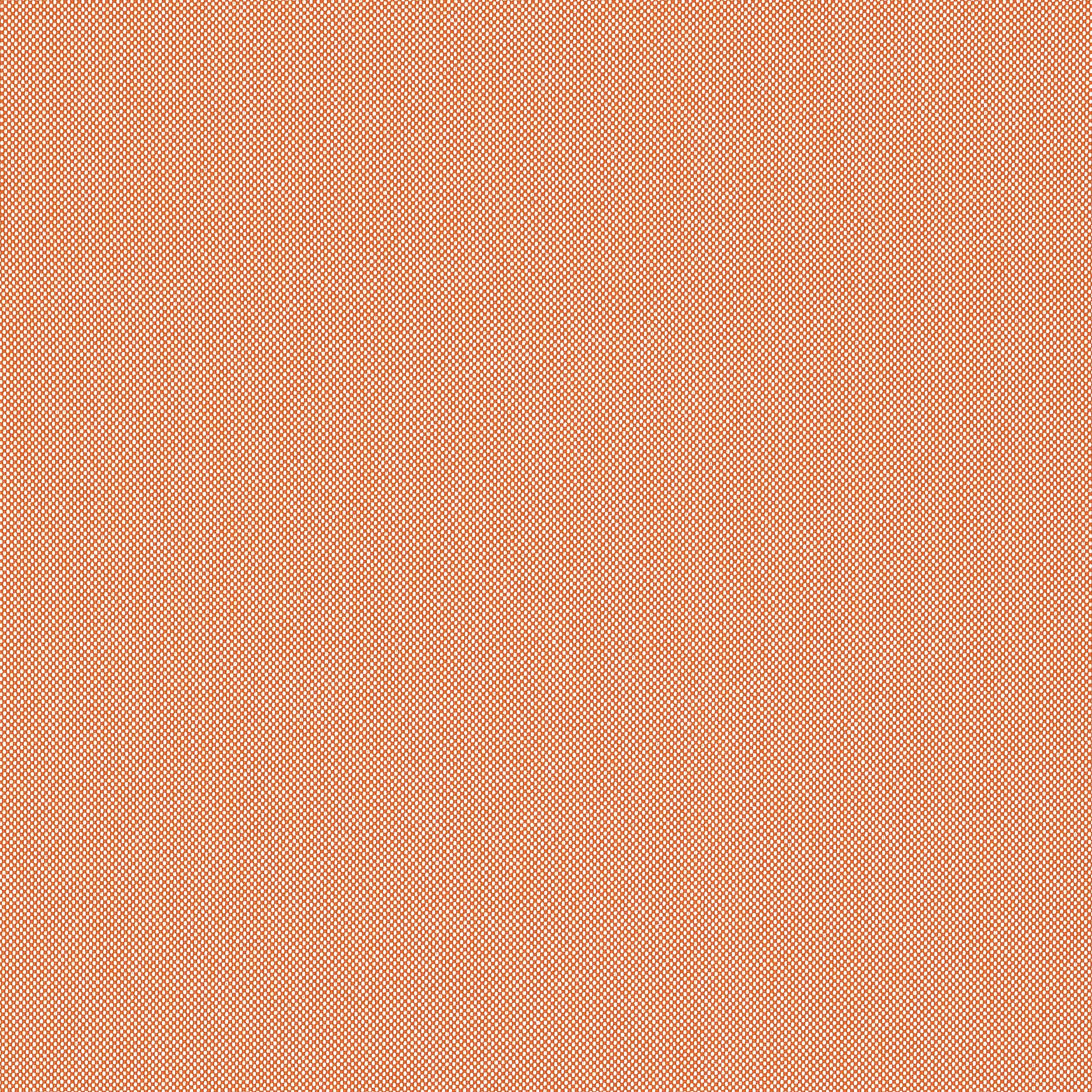 Thibaut Finn in Mandarin (W81758)