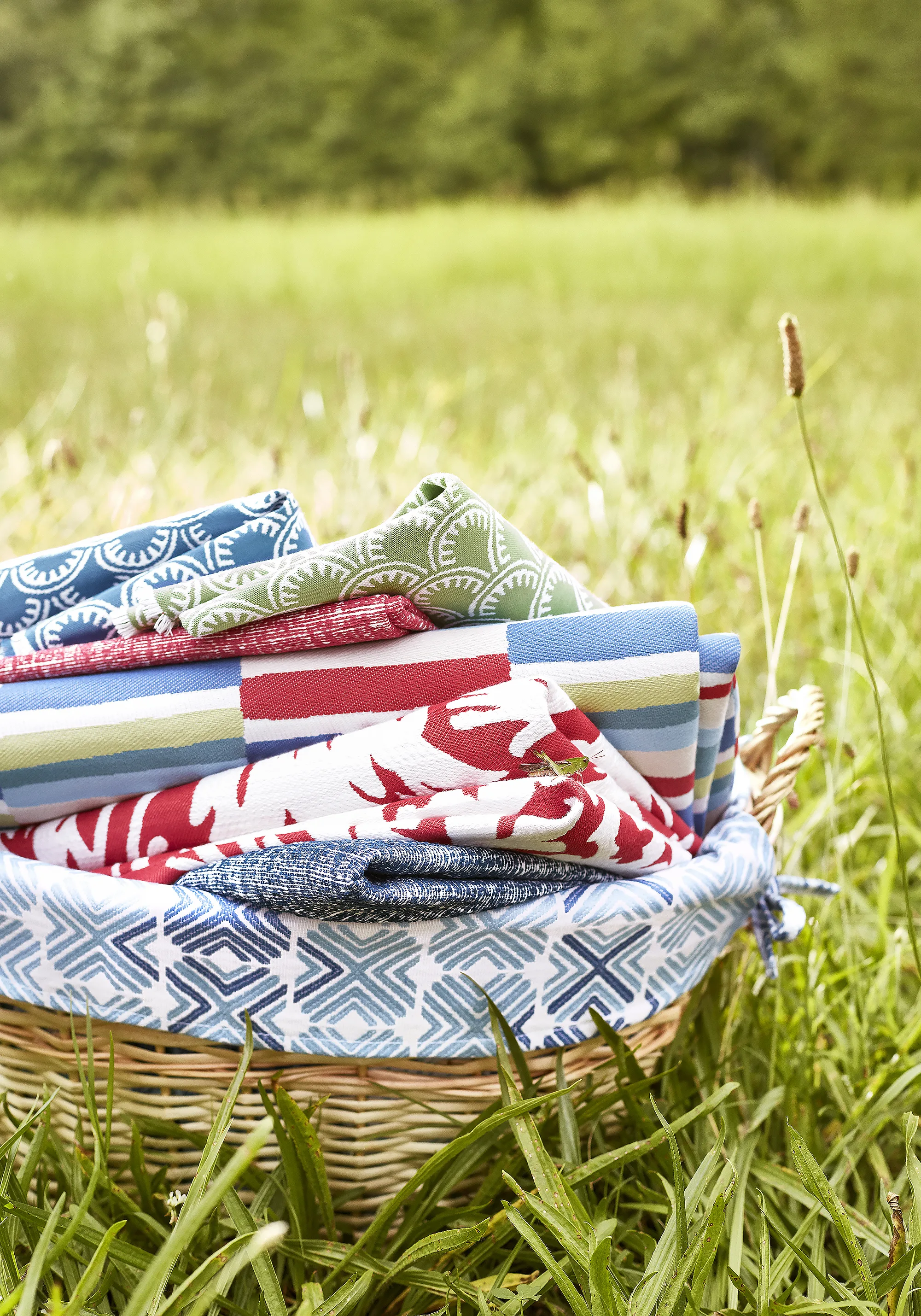Thibaut Freeport in Cranberry (W74604)