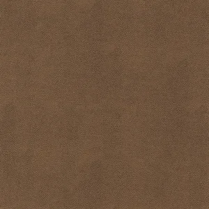 Thibaut Gaucho in Chestnut (W9054)