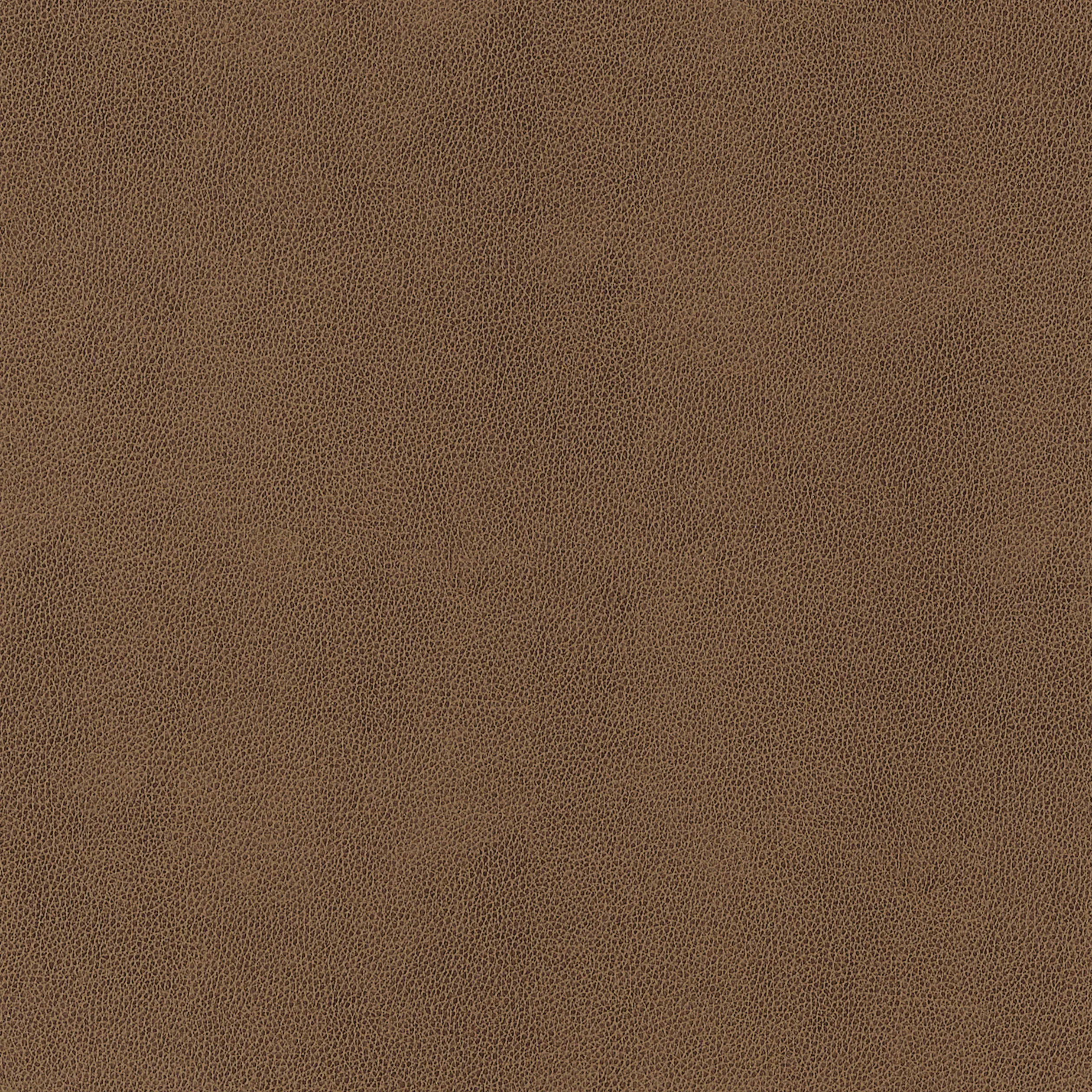 W9054 | Gaucho – Chestnut