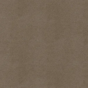 Thibaut Gaucho in Elk (W9055)