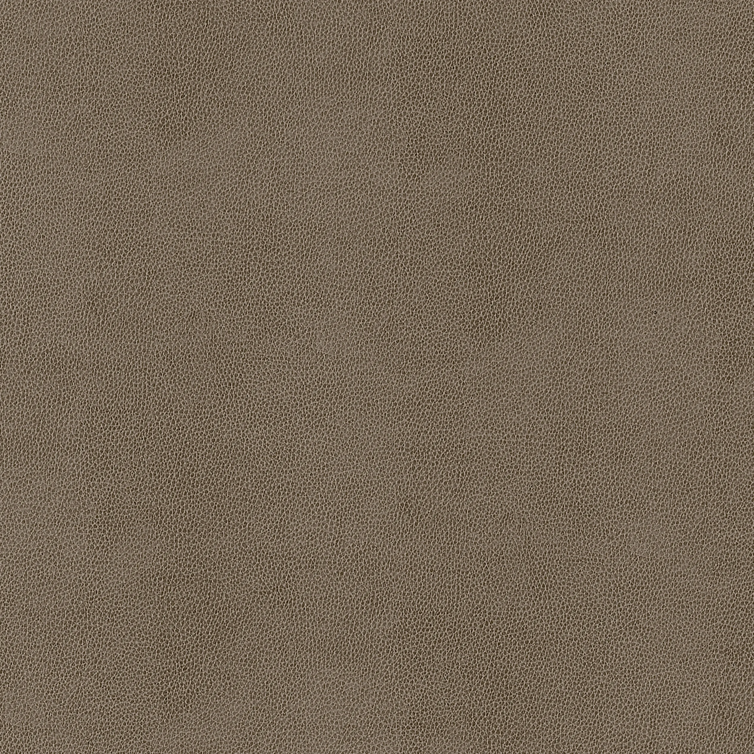 W9055 | Gaucho – Elk