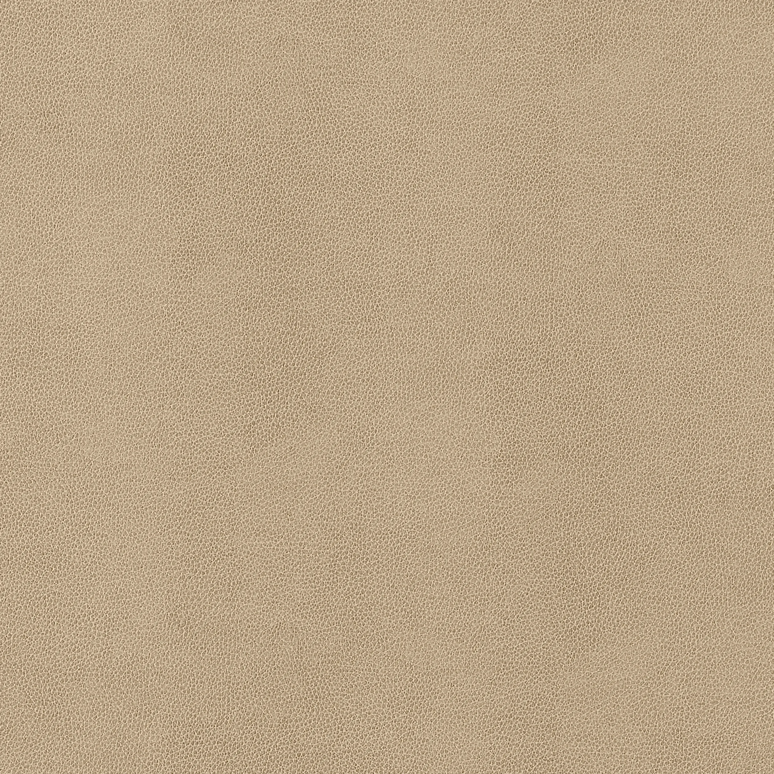 W9051 | Gaucho – Fawn