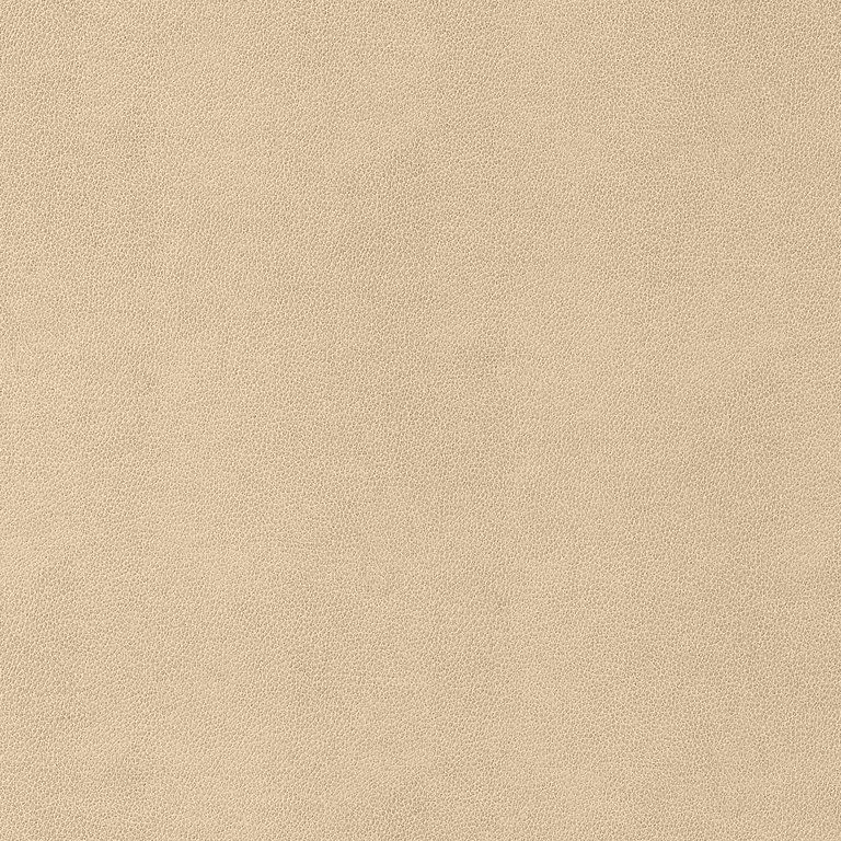Thibaut Gaucho in Suede (W9052)