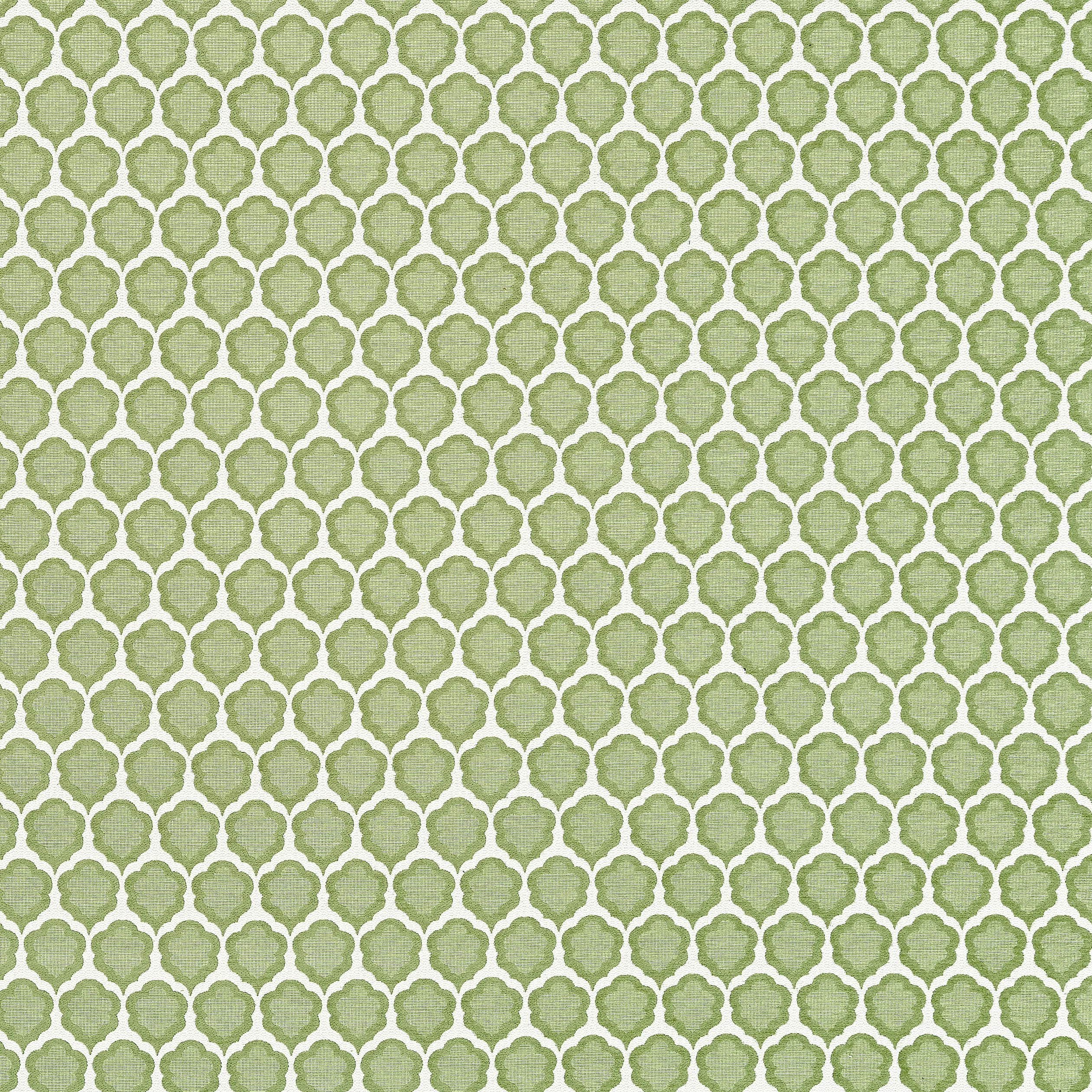 Thibaut Genie in Leaf (W81930)