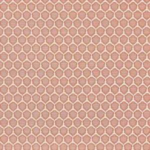 Thibaut Genie in Terracotta (W81929)