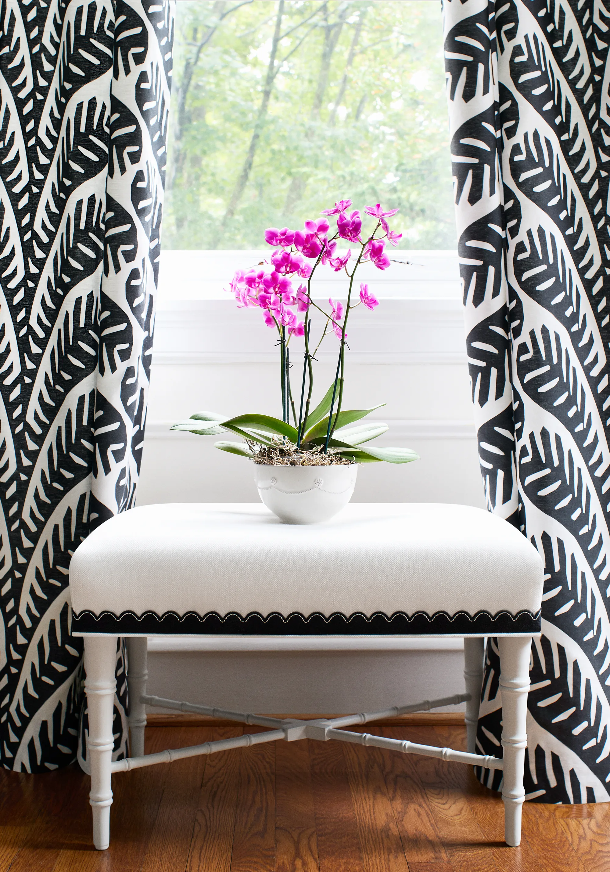 Thibaut Ginger in Black (F920830)