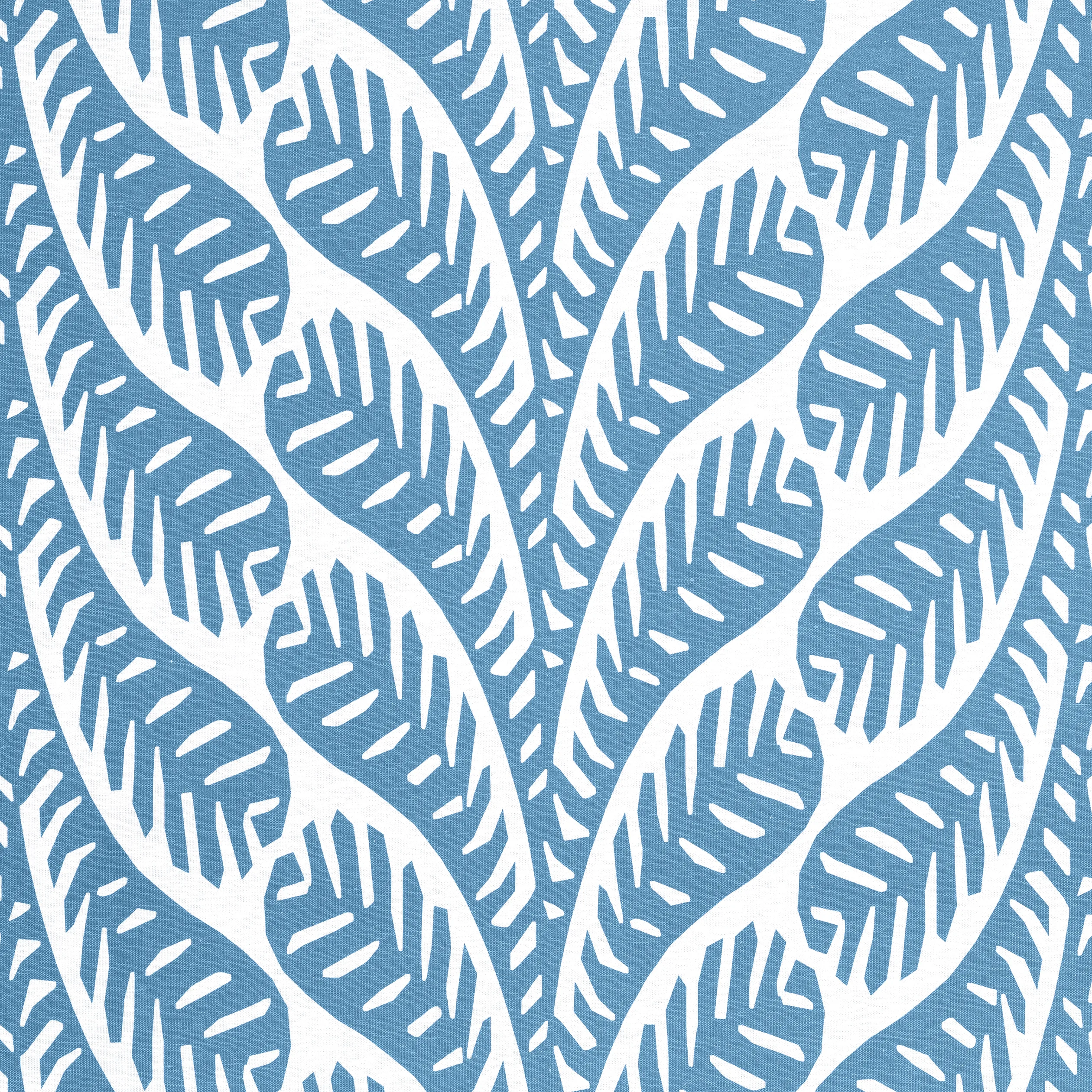 F920848 | Ginger – Blue