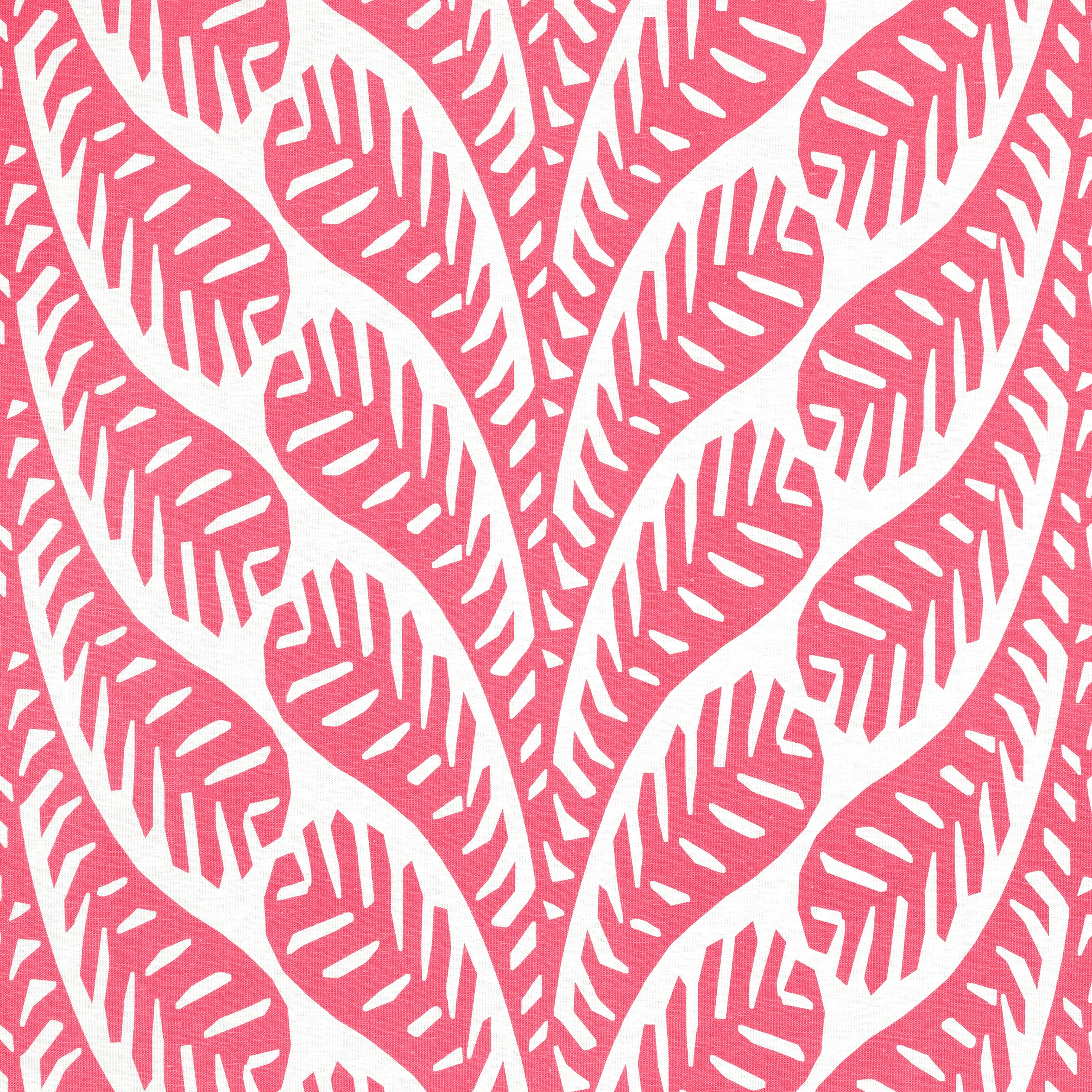 F920831 | Ginger – Pink