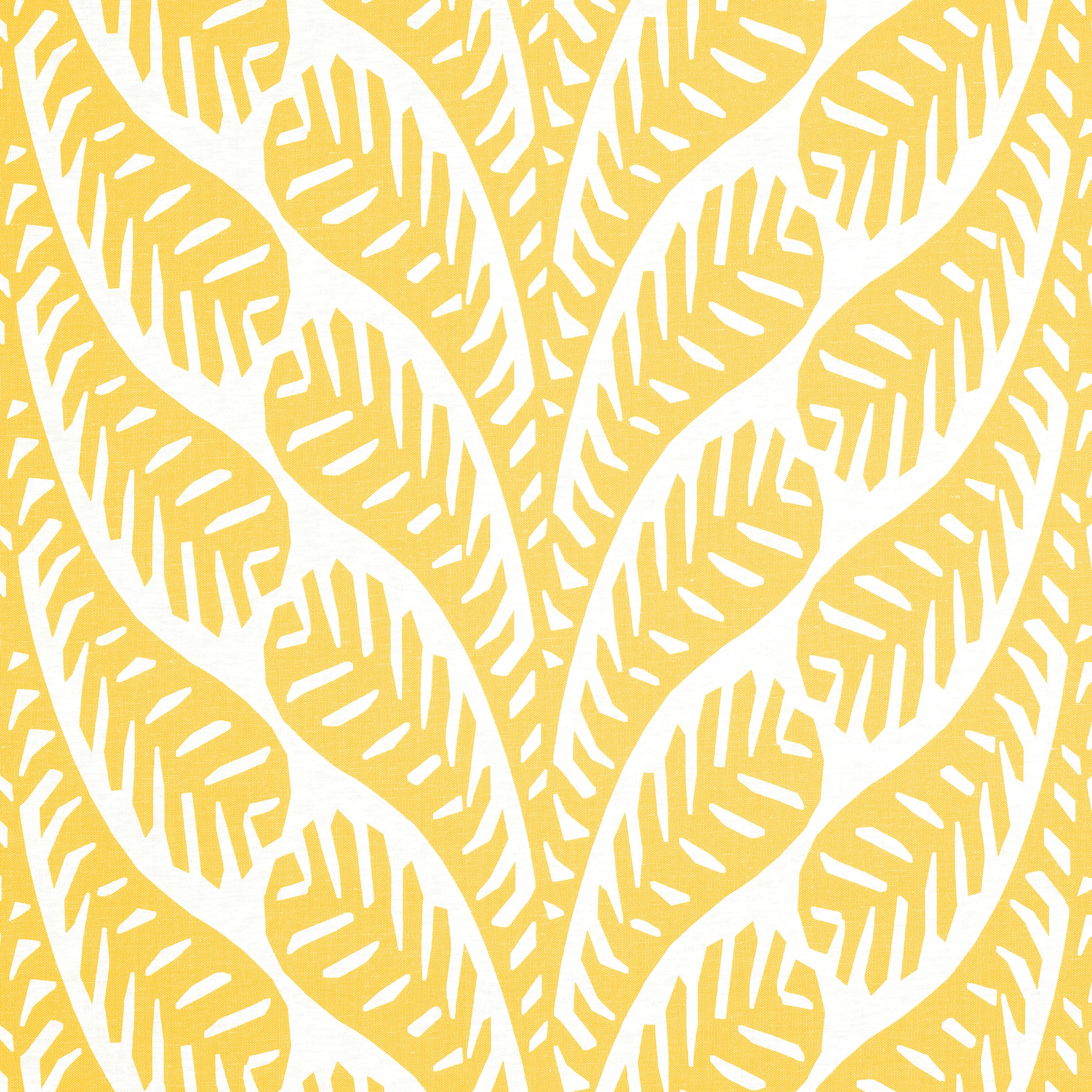 F920828 | Ginger – Yellow