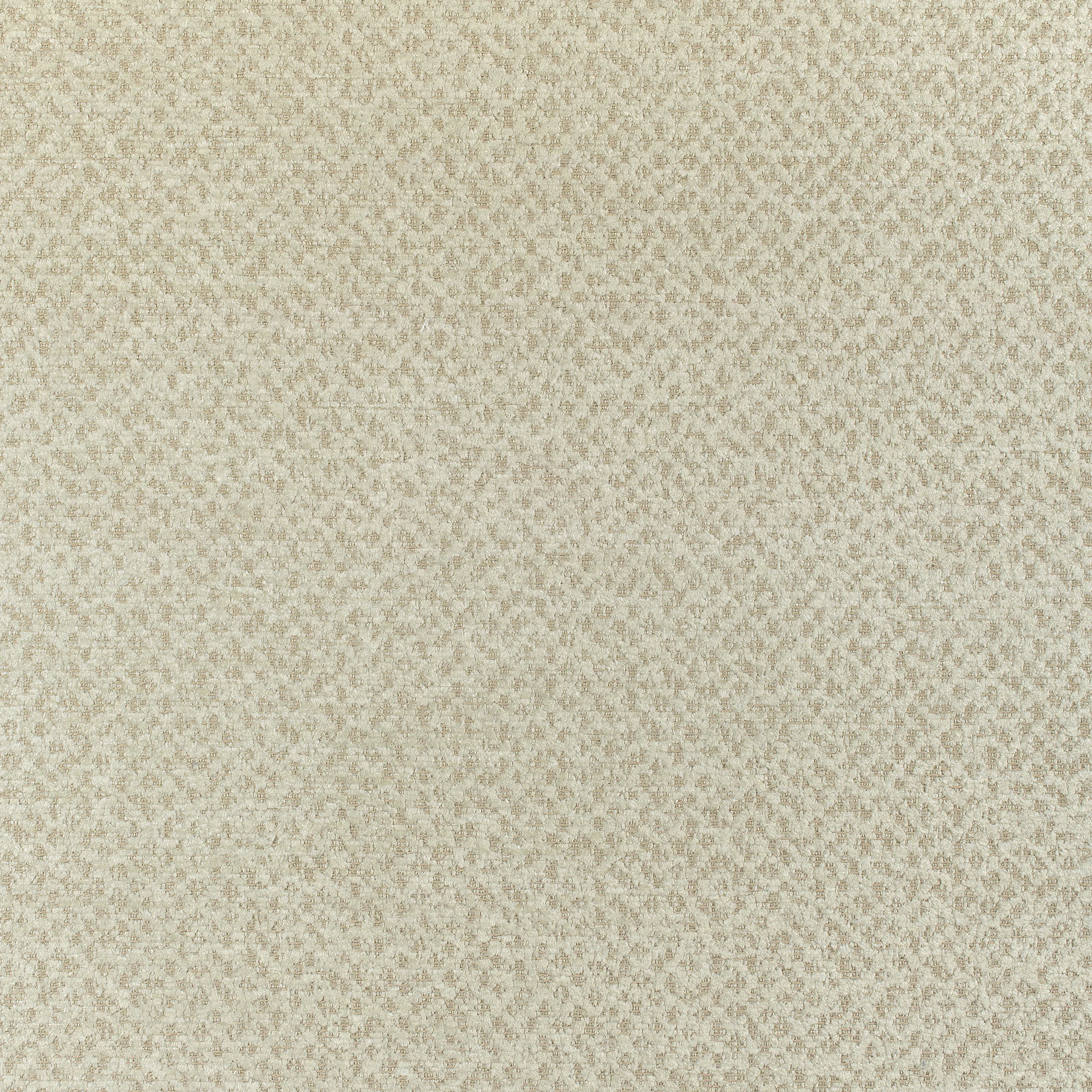 Thibaut Gryffin in Flax (W80410)