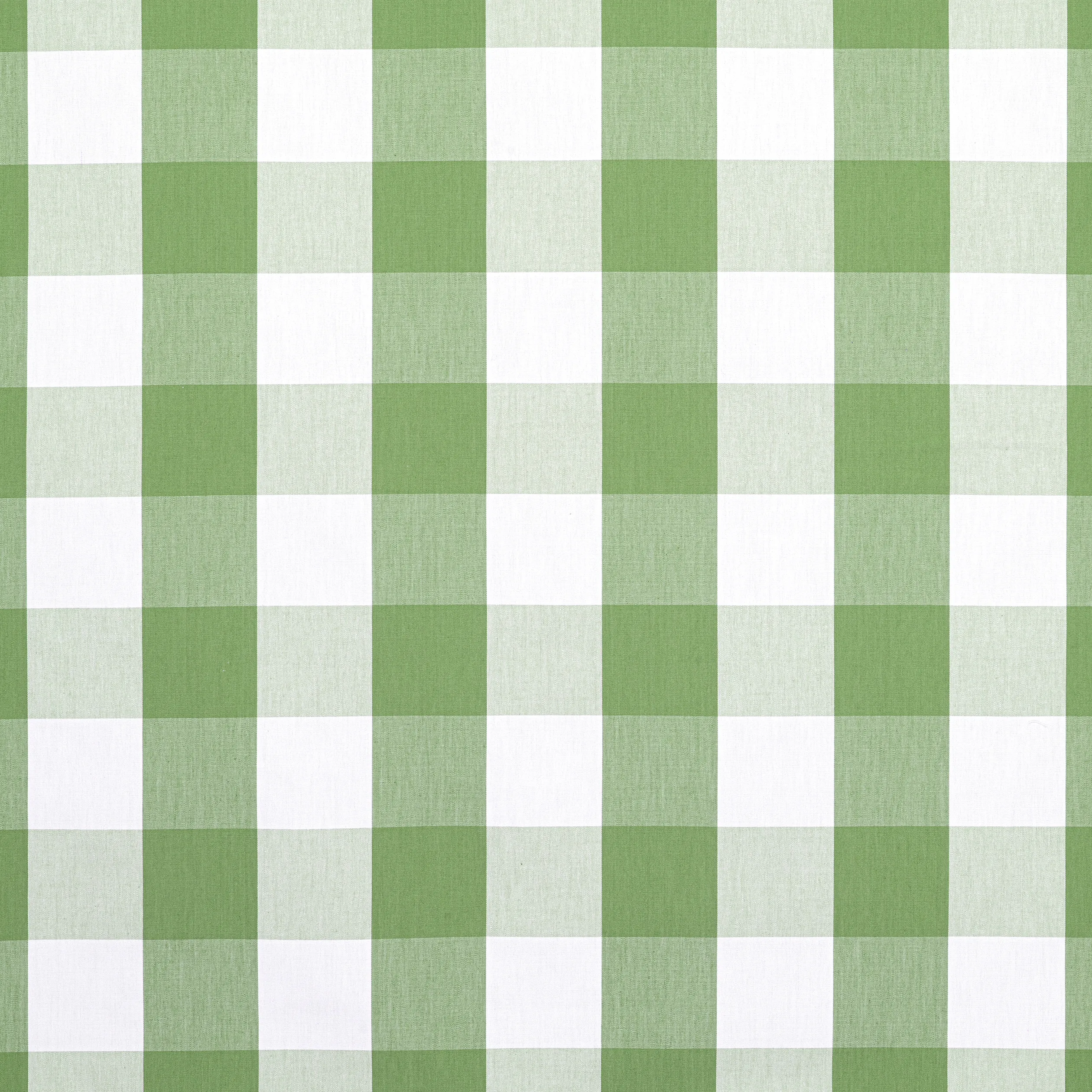 AW24507 | Hammond Check – Kelly