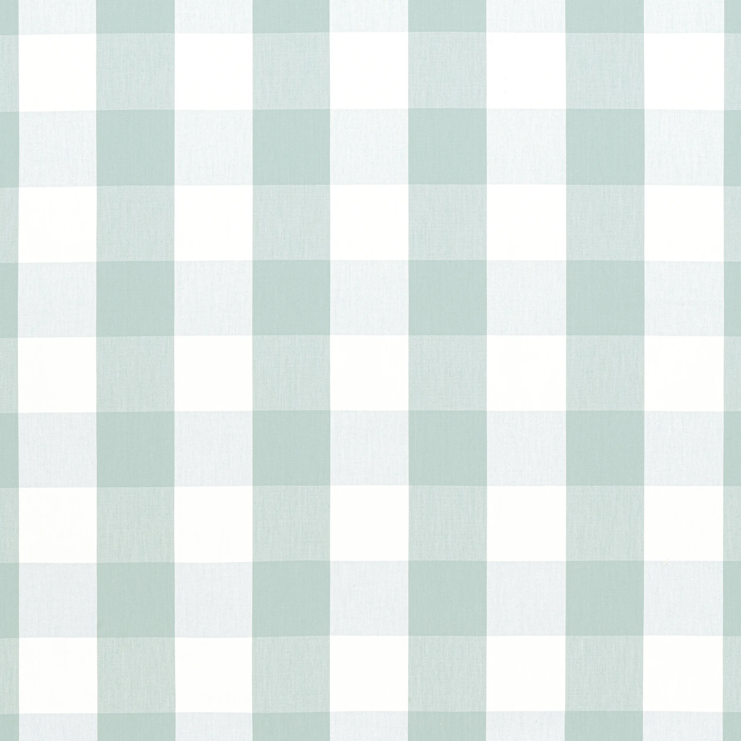 AW24503 | Hammond Check – Robin’s Egg