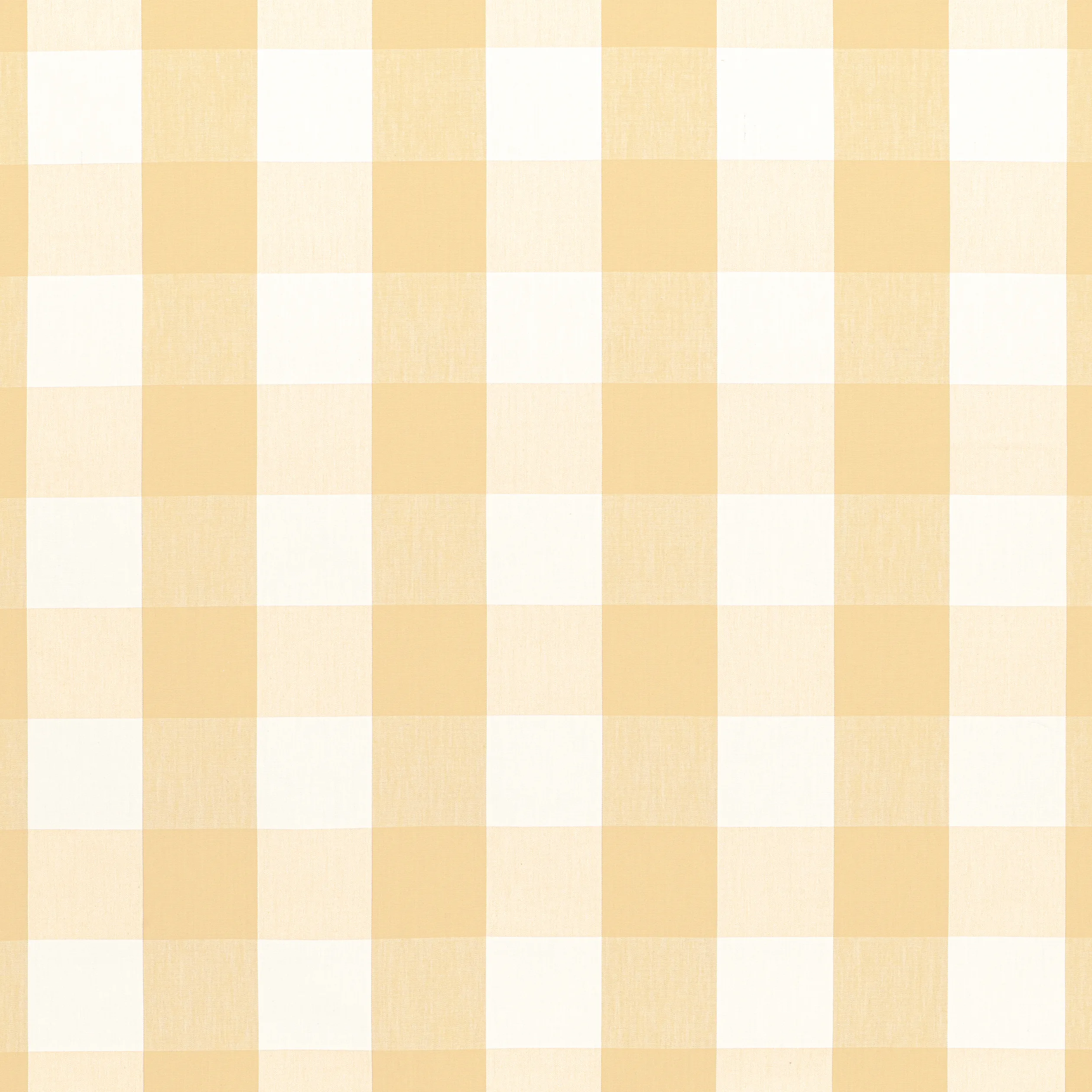 AW24501 | Hammond Check – Soft Gold