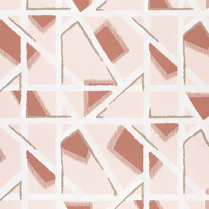 Thibaut Hazen in Clay (W8832)
