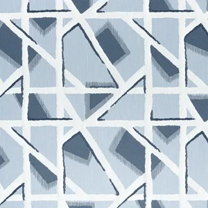 Thibaut Hazen in Denim (W8835)