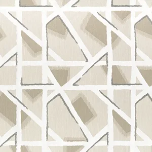 Thibaut Hazen in Sahara (W8833)