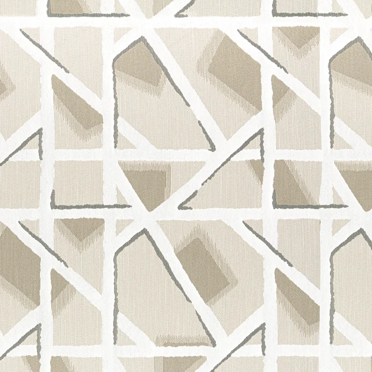 Thibaut Hazen in Sahara (W8833)