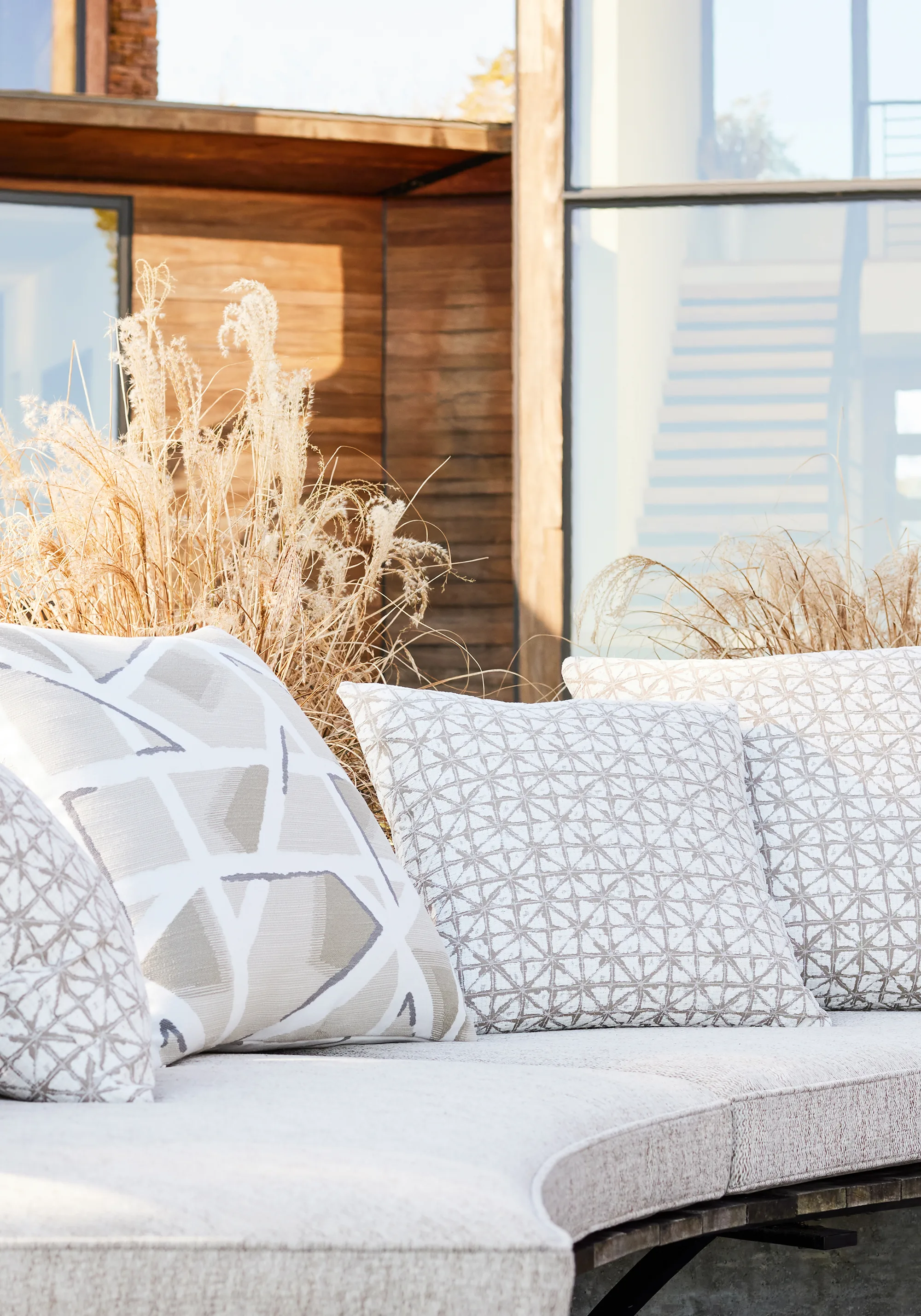 Thibaut Hazen in Sahara (W8833)