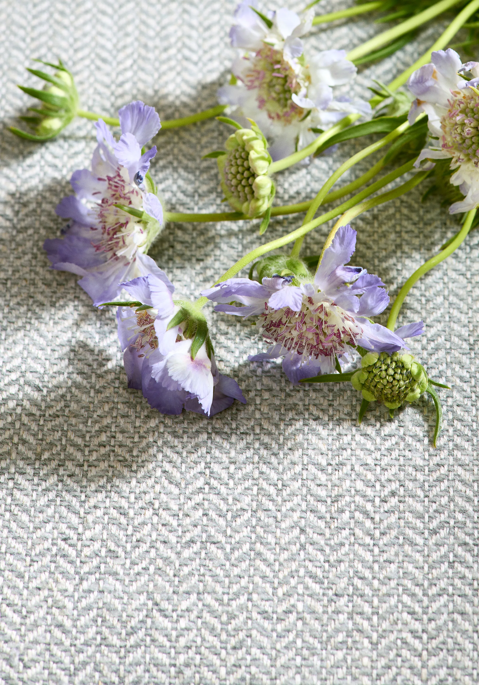 Thibaut Heath in Smoke (W80930)