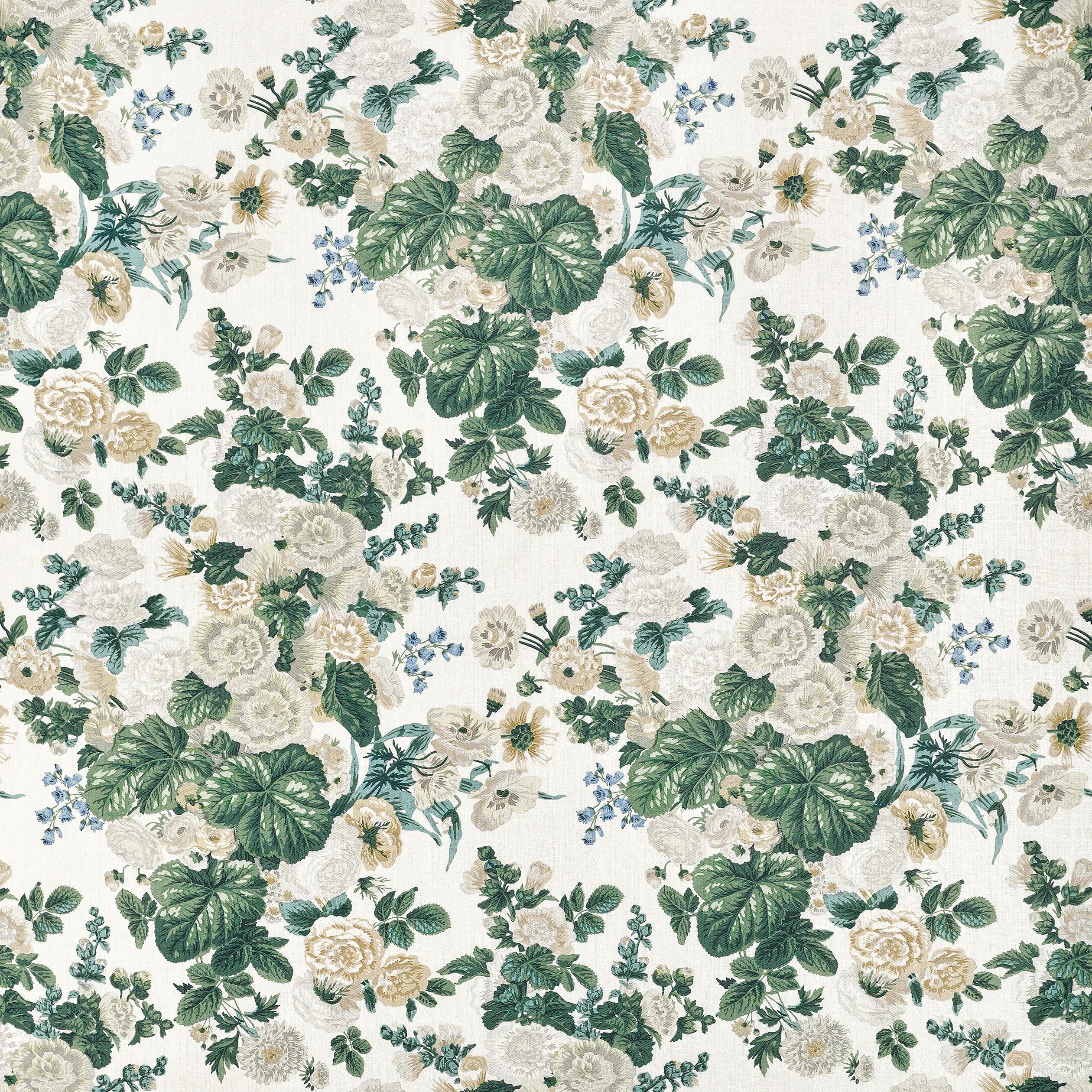 Thibaut Hidcote in White (F910510)